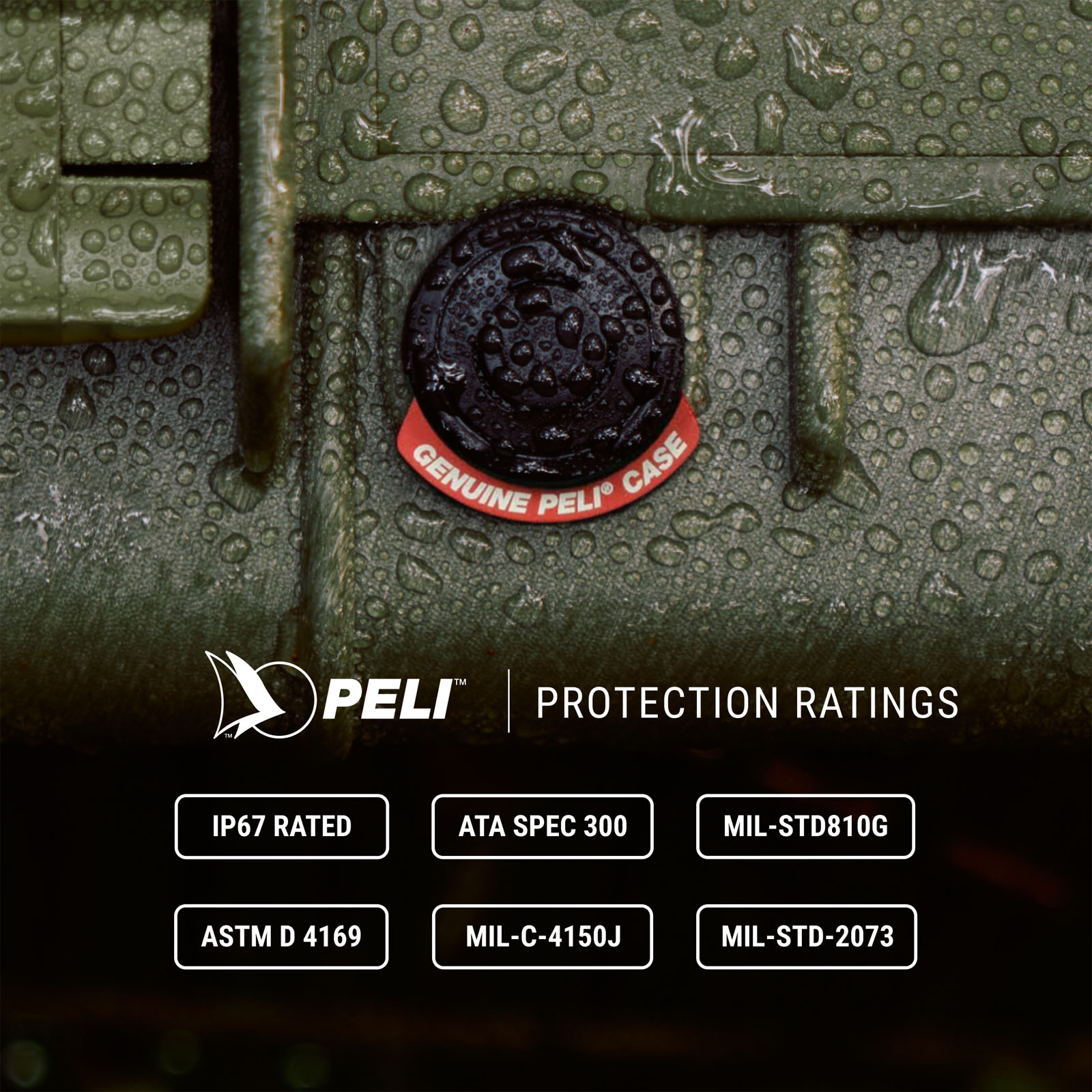 PELI_1510_RATINGS